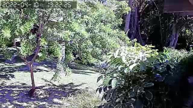 Pousada Vila Imbassai Εξωτερικό φωτογραφία
