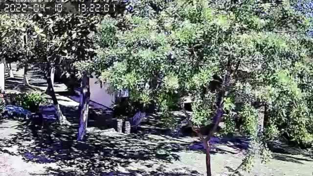 Pousada Vila Imbassai Εξωτερικό φωτογραφία